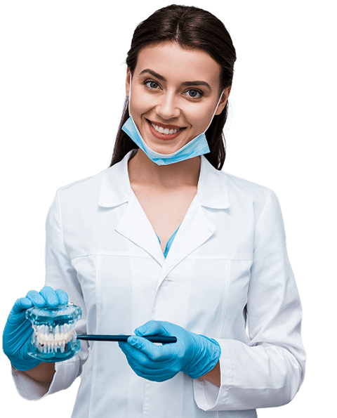 Smiling female dentist holding dental model